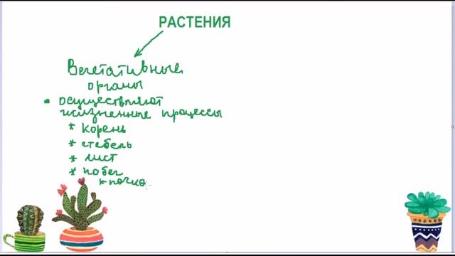 Органы высших Растений смотреть онлайн