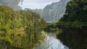 Река "Десна"