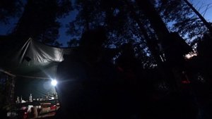 Рыбалка Бобровское озеро 2021