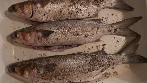 Кефаль на мангале