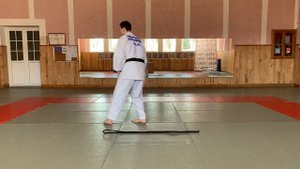 Тай-сабаки - повороты тела в дзюдо / Белый пояс дзюдо (6 КЮ за 6 уроков)