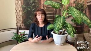 ДИФФЕНБАХИЯ УХОД В ДОМАШНИХ УСЛОВИЯХ Dieffenbachia