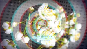 ЖЕНСТВЕННОСТЬ • медитация саблиминал +