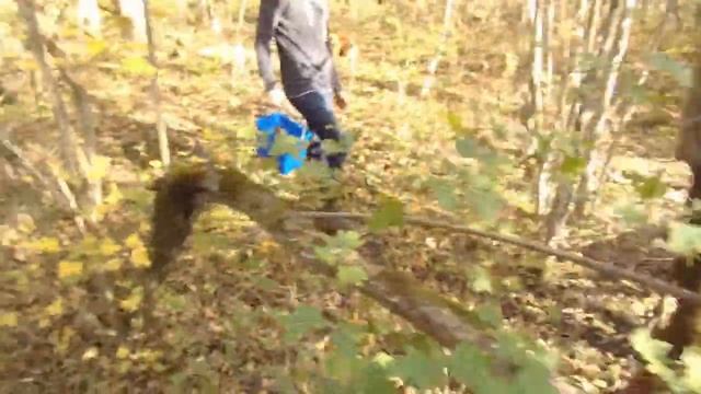 Сбор осенних опят в Краснодарском крае! Опята в лесах Кубани! Осенние опята! Удачная грибалка!