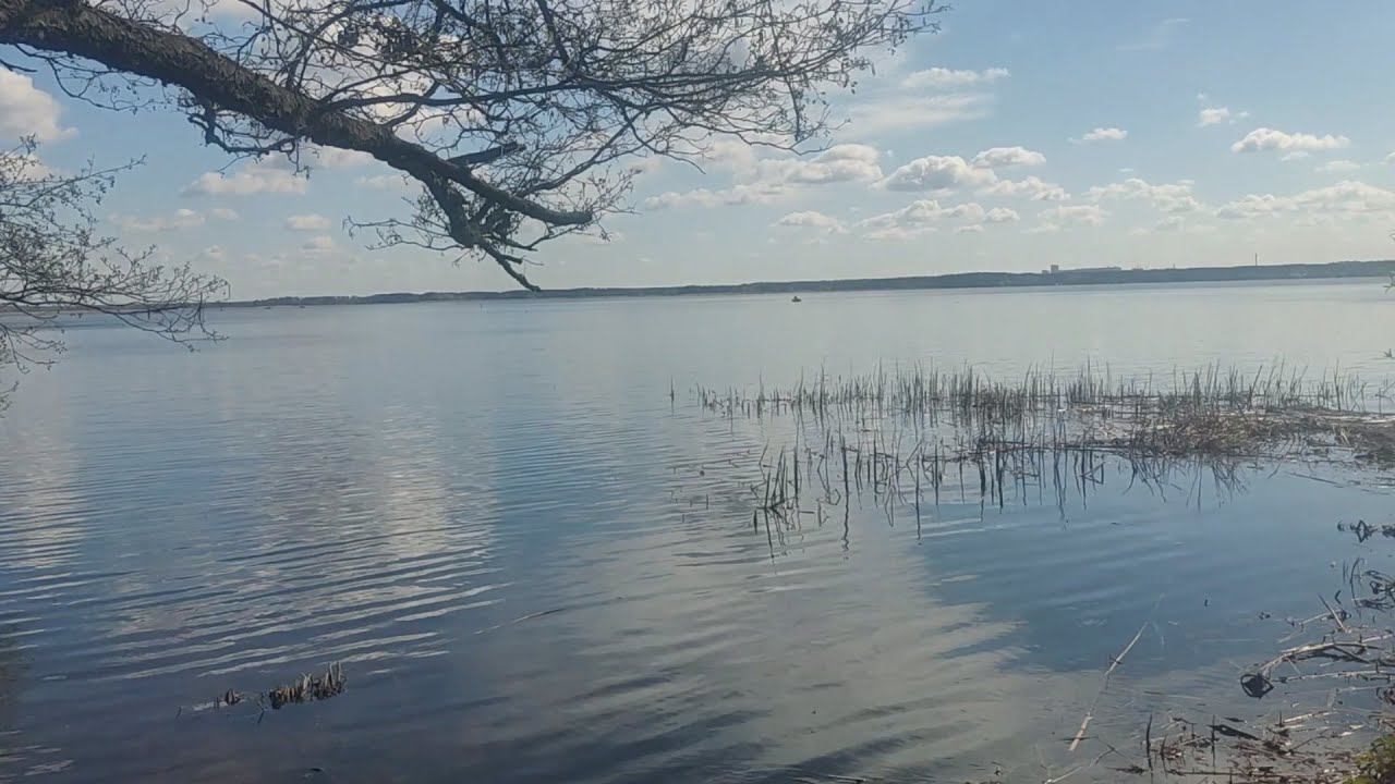 Прогулка за городом Экотропа