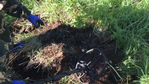 Первый коп! Тестируем металлоискатель TX-850. Отличный прибор!