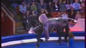 лошади в цирке