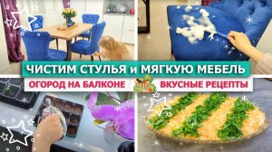 ?? ЧЕМ ЧИСТИТЬ СТУЛЬЯ и МЯГКУЮ МЕБЕЛЬ ??СЛОМАЛАСЬ СТИРАЛКА ?? ОГОРОД НА БАЛКОНЕ ?ВКУСНЫЙ УЖИН