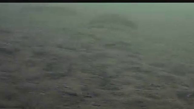 Ловля окуня зимой на мормышку. Зимняя рыбалка смотреть онлайн