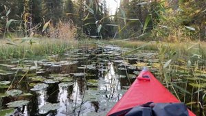 По болоту на байдарке!