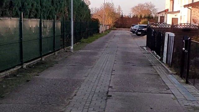 house fencing@Забор из Ёли смотреть онлайн