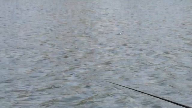 Озеро Глухое Новосибирск 21.05.23 плотва на поплавочку и не только смотреть онлайн