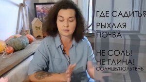 ВСЕ О ТОМ КОГДА, ГДЕ И КАК ПОСАДИТЬ РОЗЫ