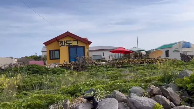제주도에서 배타고 15분 가면 나오는 신비의 섬 🏔️ 잊지 못할 백패킹 추억