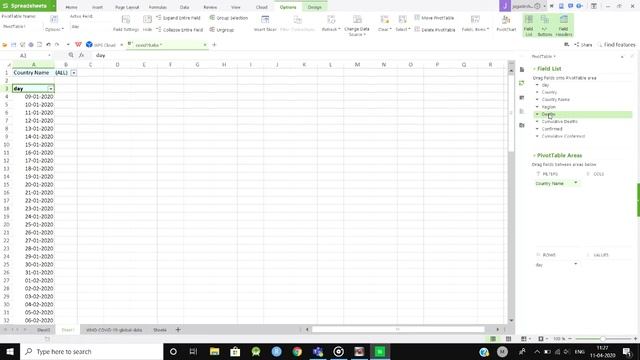 Pivot table in Ms Excel