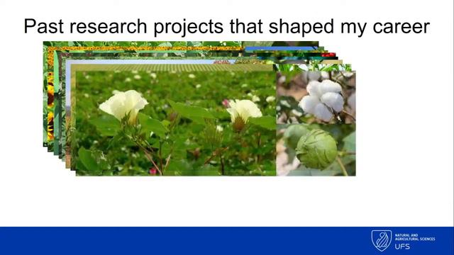 Inaugural Lecture: Prof Liezel Herselman смотреть онлайн