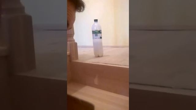 лакировка лестницы гусиный шаг