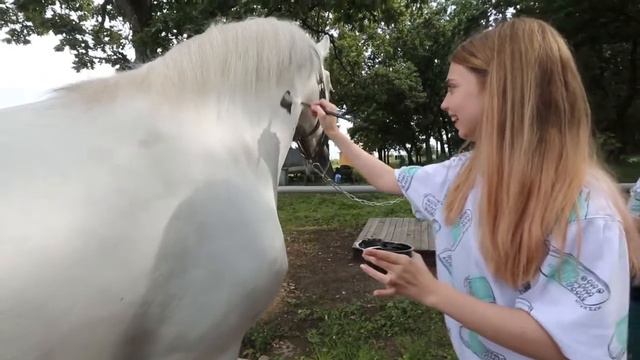 Тайна моих фотографий 1 смотреть онлайн