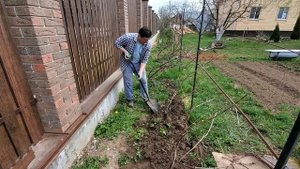 Шпалера для винограда в средней полосе.