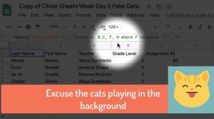 Oliver Google Sheets Week Day 5: How to use Query Formula in Google Sheets