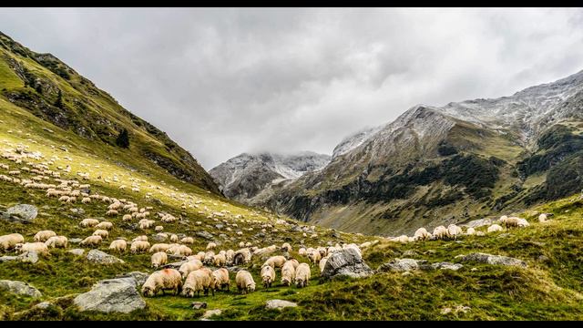 𝐌𝐎𝐔𝐍𝐓𝐀𝐈𝐍𝐒 - Best of 𝐂𝐀𝐋𝐌 𝐀𝐌𝐁𝐈𝐄𝐍𝐓 𝐌𝐔𝐒𝐈𝐂 (For Relaxation, Work Focus,Sleep and Meditation)