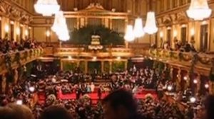 Бал в Вене, Венский бал