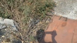 Яма Беккари - 28.08.2015