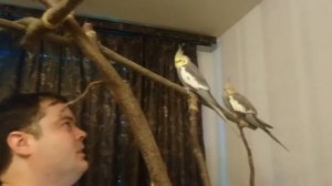 Как можно ГОВОРИТЬ С КОРЕЛЛОЙ на её языке!