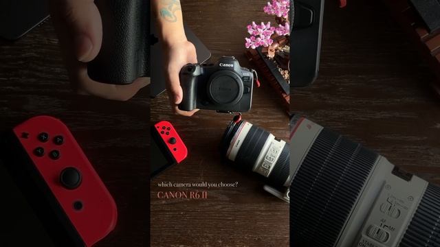 Which camera would you choose?