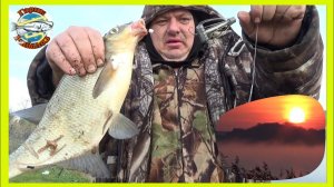 Рыбалка ночью на донки, в октябре лещ ещё клюёт.