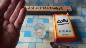 Прощай вечный насморк и сопли.