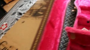 Gator for Les Paul guitars CASE