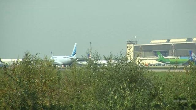 Домодедово, 9 сентября 2019 г, посадки. смотреть онлайн