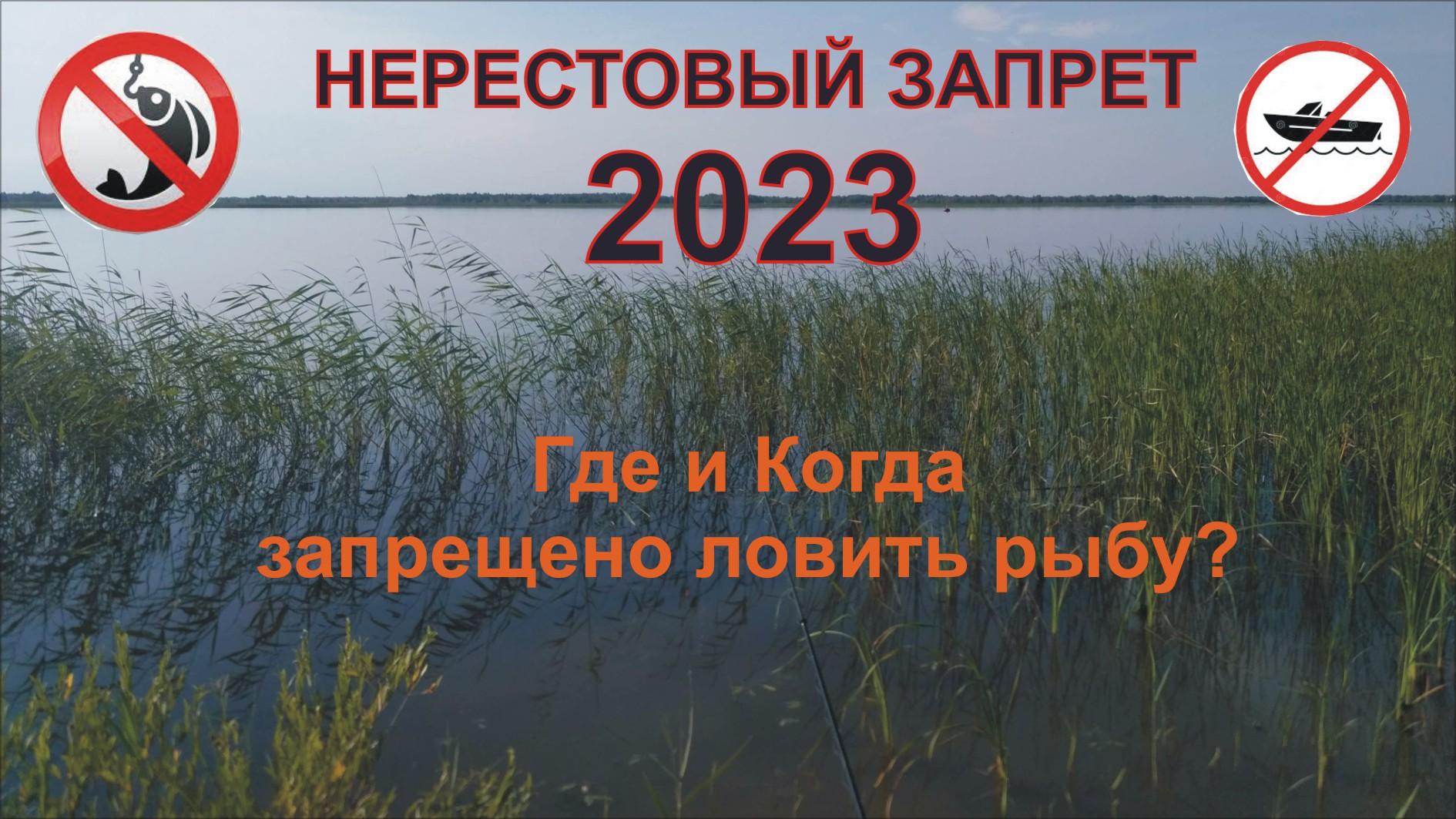 Карта запрета ловли в калининградской области