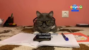 Kotiynet 5 выпуск Карусель Windows