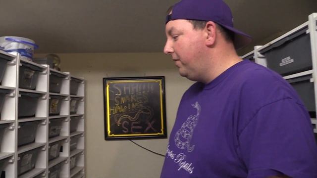 Keeping Snake Records! Why it is important, and how to do it. смотреть онлайн