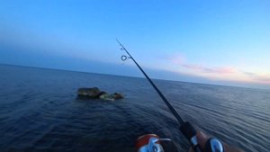 Ловля ставриды на самодур с берега июнь 2020г