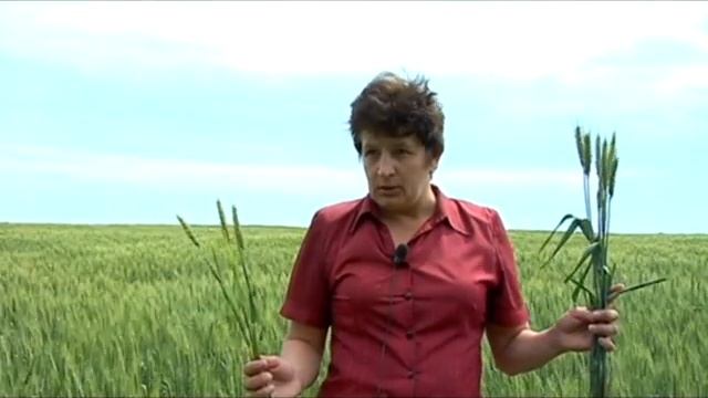 Институт агропромышленного производства