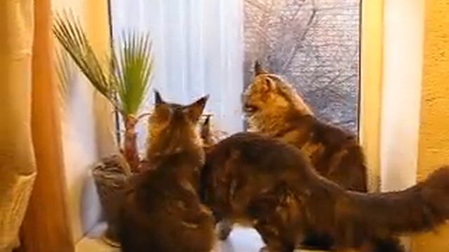 Пальмовый рай смотреть онлайн