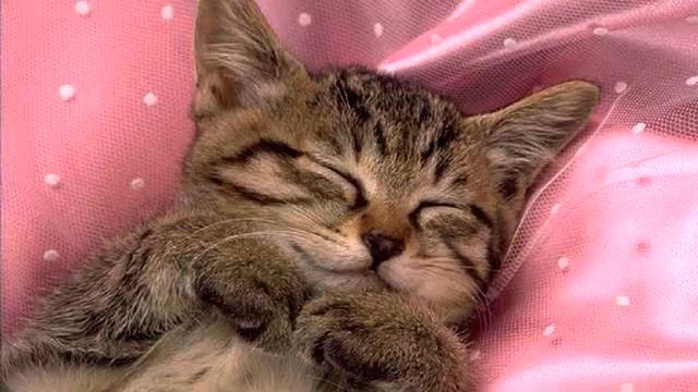 Музыка новинки . Красивая грустная музыка. Рекоменду... смотреть онлайн