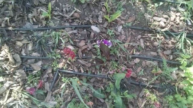 Экскурсия по Площади Советской, фонтан и офис СБЕРБАНКА: часть 1 смотреть онлайн