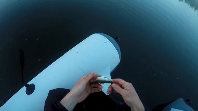Рыбалка и отдых на озере в мае, фидер и кружки на щуку, водные прогулки