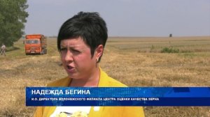 Как идёт уборка зерна?