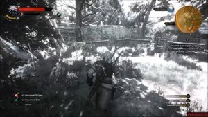 The Witcher 3: Wild Hunt - В Волчьей шкуре - Моркварг. Прохождение #61 | Gameplay Walkthrough