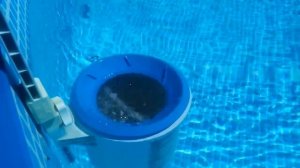 Работа скиммера для бассейна