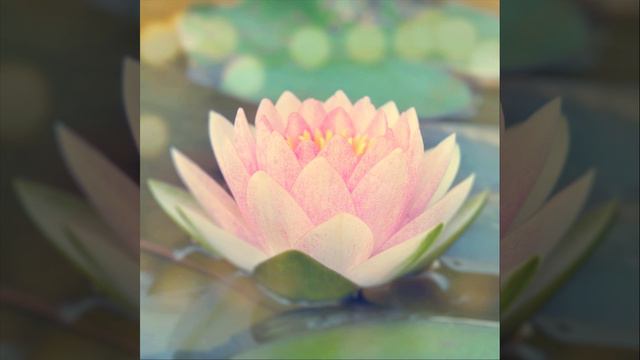 Evenfall смотреть онлайн