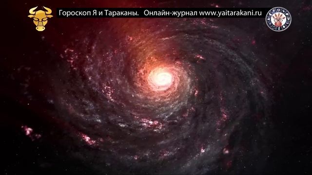 Телец.  Гороскоп.  Как мстят Тельцы.  Описание