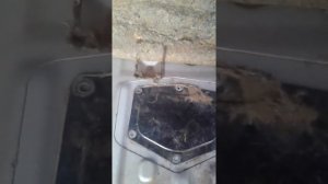 Как снять поплавок