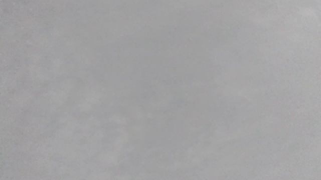 Голуби Свердловские высоколётные.Сядут или в ночь.Смотри до конца.9122815080