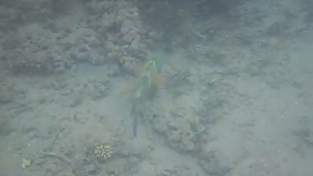 ХЕЙЛИН смотреть онлайн